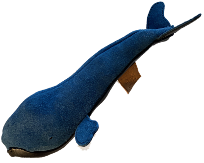 Leather Sperm Whale from the Greenland Fishery Project