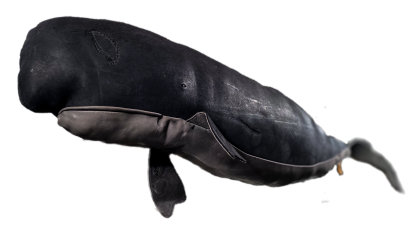 Leather Sperm whale hand-made at the Greenland Fishery