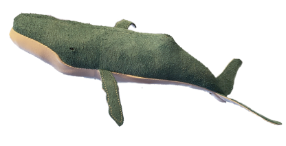 Blue suede humpback whale calf