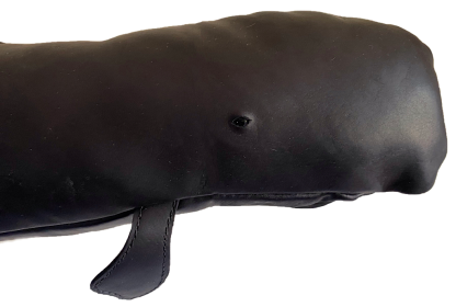 Soft, waxy black leather Sperm Whale