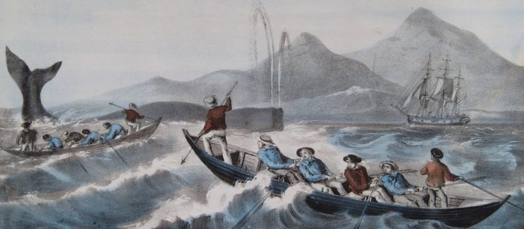 Early whaling in New England